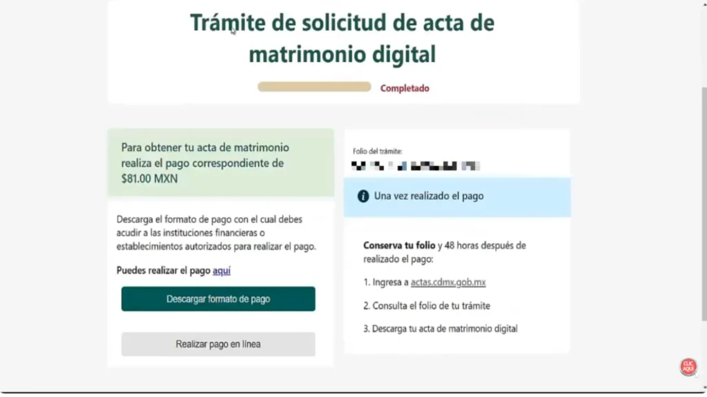 Paso 8:Realiza el pago Tienes dos opciones:
